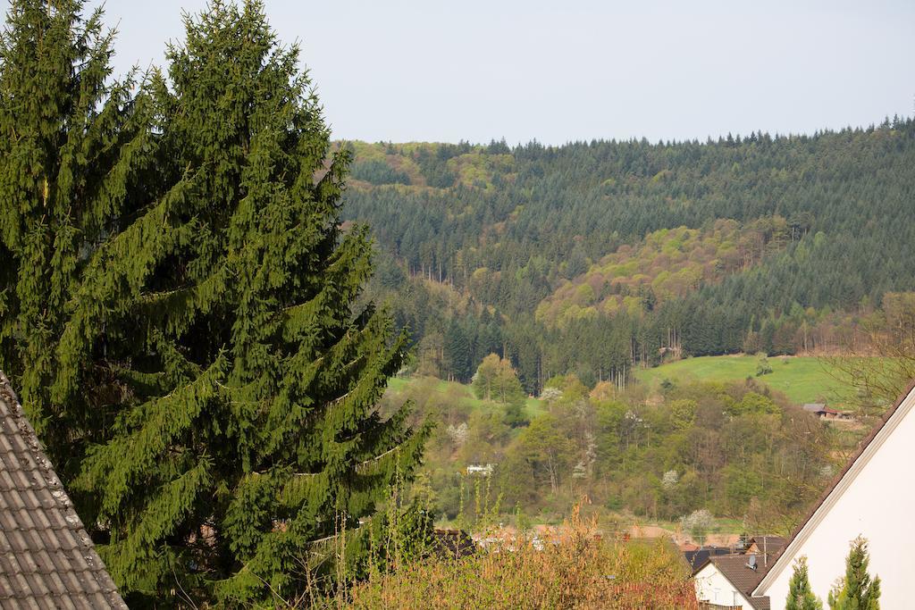 Schoene Aussicht Seelbach  Habitación foto